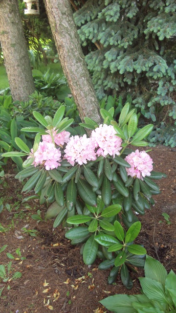 Helsinki University 1.jpg